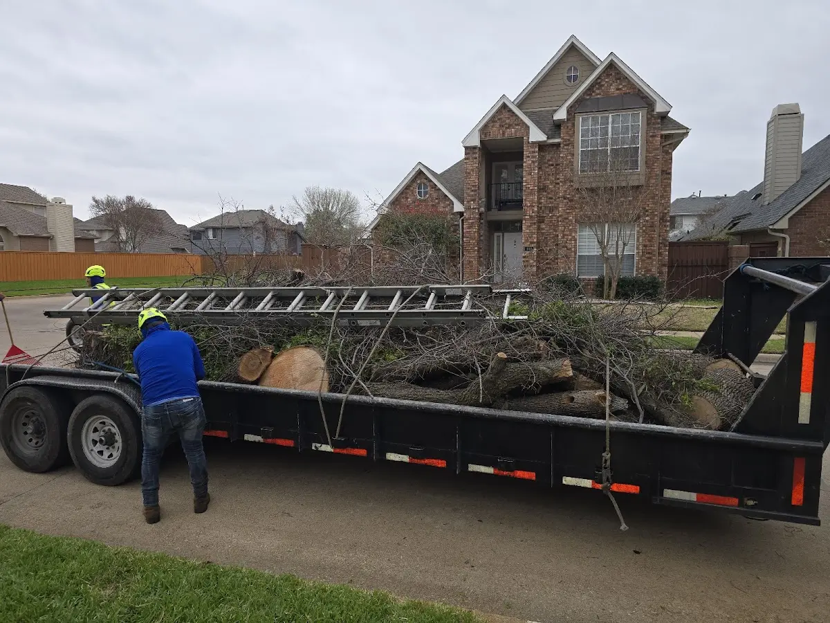 Expert Tree Removal with proper safety equipment in Sharon